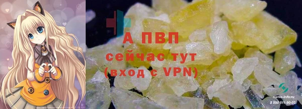 дживик Ельня