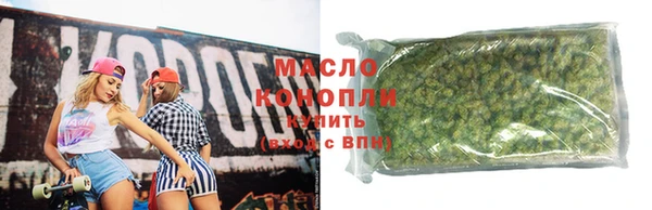 дживик Ельня