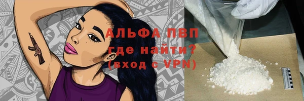 спиды Елизово