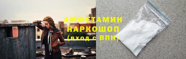 дживик Ельня