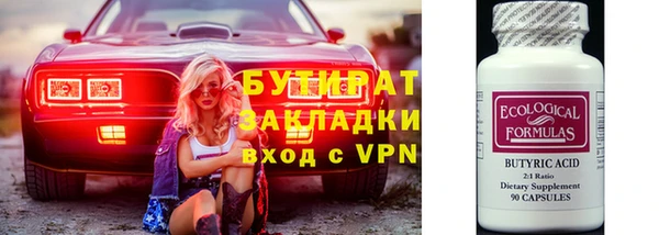 дживик Ельня