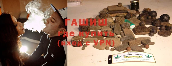дживик Ельня