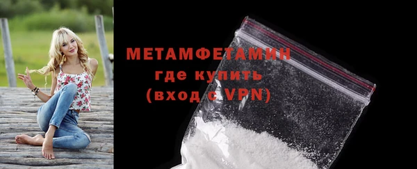 дживик Ельня