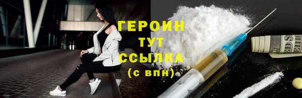 дживик Ельня