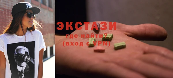 дживик Ельня