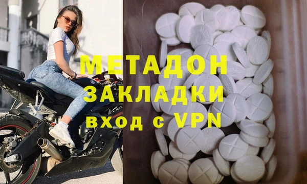 дживик Ельня