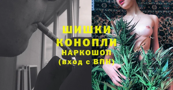 дживик Ельня