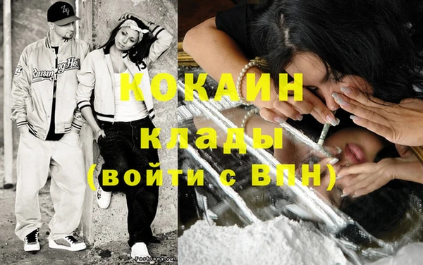 дживик Ельня