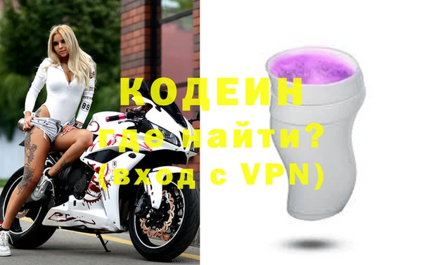 дживик Ельня