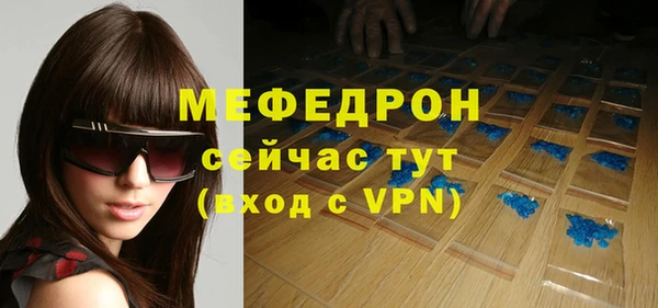 дживик Ельня