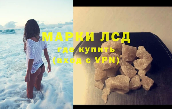 дживик Ельня