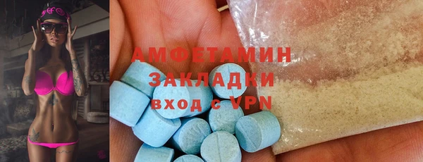 дживик Ельня