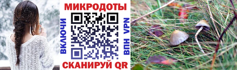 Псилоцибиновые грибы прущие грибы Купить закладки Павловский Посад